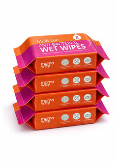 Multi-Use Anti-Bacterial Wet Wipescarry-on bag (4packs per set), , hi-res