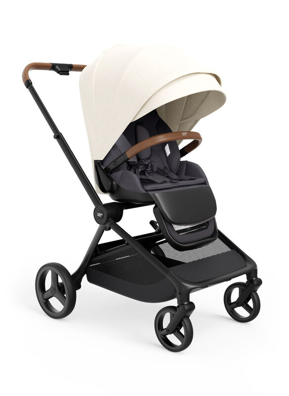 Reversible Full-size Stroller (RFS 360)