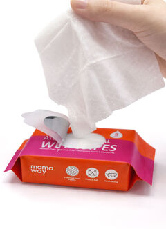 Multi-Use Anti-Bacterial Wet Wipescarry-on bag (4packs per set), , hi-res